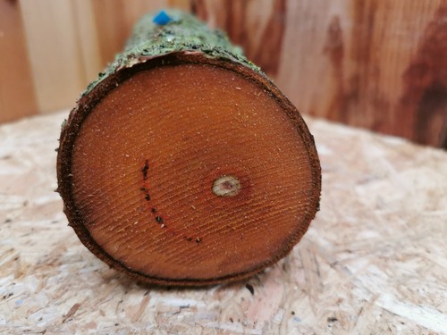 Pflaume drechselholz 5 - pflaume, 25×7,5