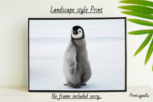 Pinguin lustig druck - lustig,