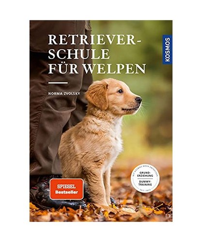 Retrieverschule für welpen - für,
