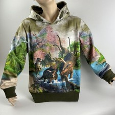 Dinosaurier sweatshirt hoodie - dinosaurier,