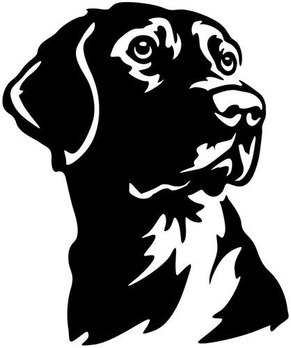 Labrador aufkleber - labrador,