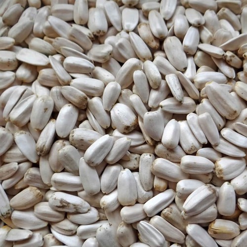 Sonnenblumenkerne weiß 750g - sonnenblumenkerne,,