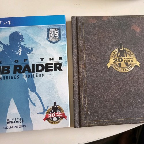 Rise the tomb raider - rise,