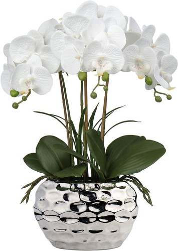 Kunstorchidee bonsai - kunstorchidee,
