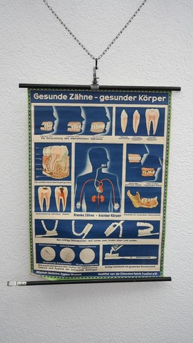 Lehrtafel schulwandkarte - lehrtafel,