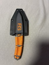 Bear grylls - bear,