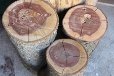 Pflaumenholz - 3,