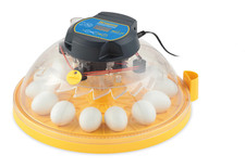 Vollautomatische Maxi-Brutmaschine "Brinsea Maxi Advance"