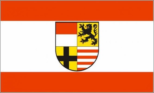 Fahne flagge saalekreis - 90, x