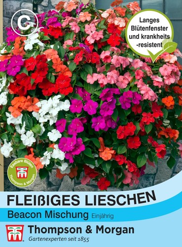 Fleißiges lieschen beacon - 'beacon',