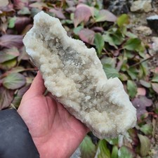 🔥Video🔥Top Kabinettstufe