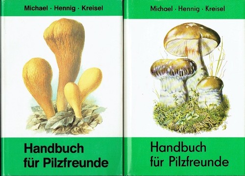 Michael hennig handbuch für - michael,