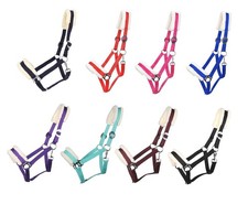 Solides Pferdehalfter