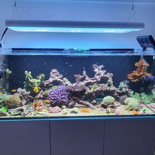 Meerwasser ATI Hybrid 8 x 54 Watt + LED Lampe