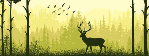 Wandbild horizontales banner - wandbild:,