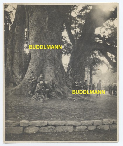 Foto soldaten seebataillon - foto, 3.seebataillon