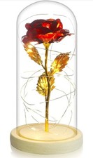 Zauberhafte Lichter Seide rote