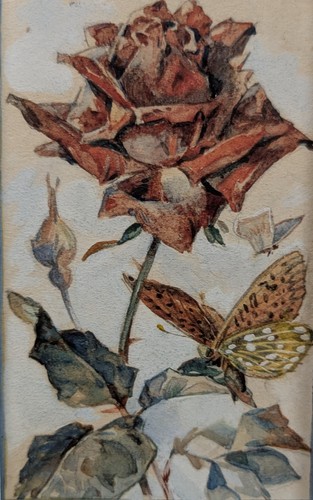 Rosen und schmetterlinge - und,
