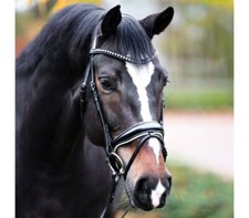 % Kavalkade Dressurtrense