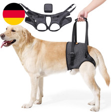 Verstellbares Hundegeschirr