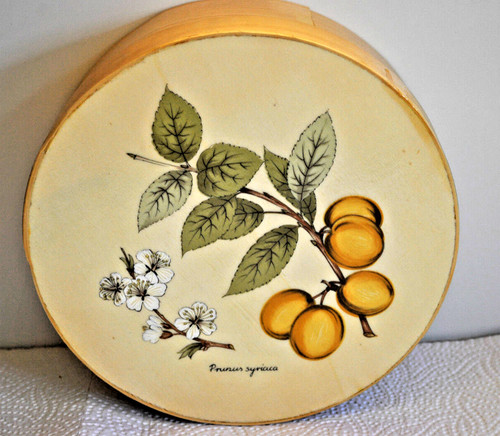 Alte obstteller mit - 6,