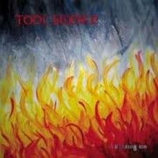 Tool silence blazing ice - blazing,
