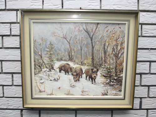 Jagd bild wildschweine keiler - jagd,