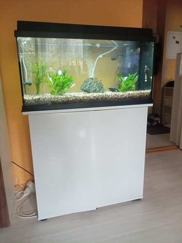 Komplettes aquarium jahre - komplettes,