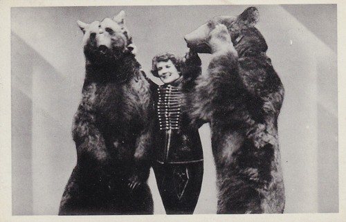Zirkus schneider foto - foto-ak, alt