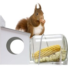 Eichhörnchen Futterhaus Glas