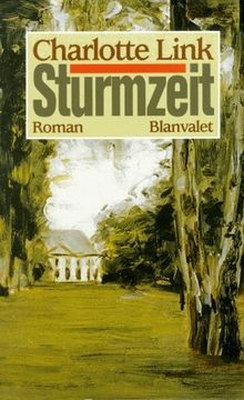 Sturmzeit von link charlotte - sturmzeit,