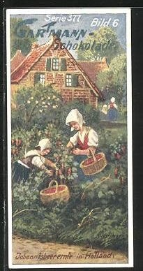 Sammelbild gartmann chocolade - sammelbild, gartmann-chocolade