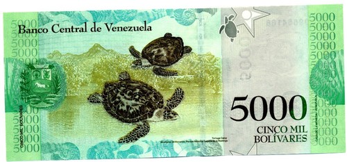000er bolivar banknote - 5.000er,