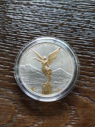 Libertad 2022 oz silber - 2022,