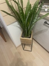 Schöner Übertopf aus Holz