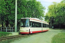 Dia - Fotoabzug 10x15 -