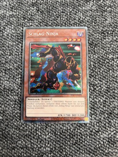 Schlag ninja ra03 - schlag-ninja, ra03-de131