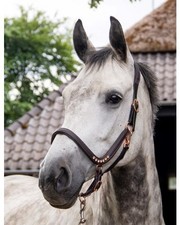 anatomisches Leder Halfter Gr