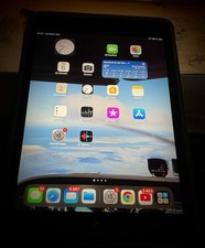 ipad mini 5 cellular MUX52