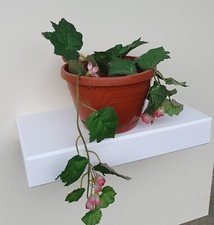 .Wandregal mit Geheimfach.