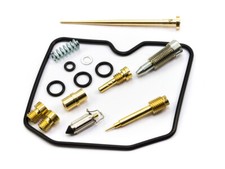 Vergaser Reparatur Satz