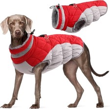Hundejacke Wintermantel