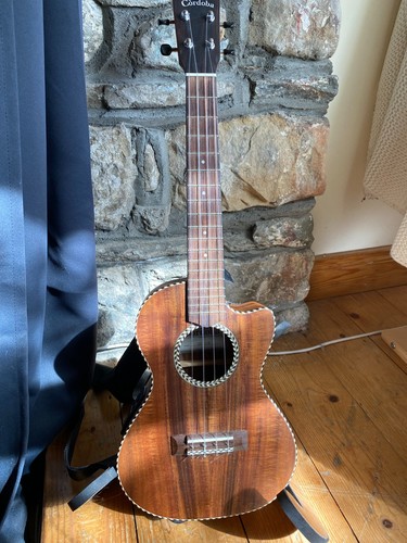 Cordoba 25t electracoustic - cordoba,