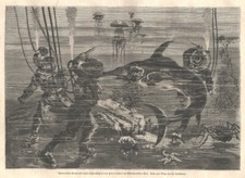 Taucher-Helmtaucher"Kampf mit