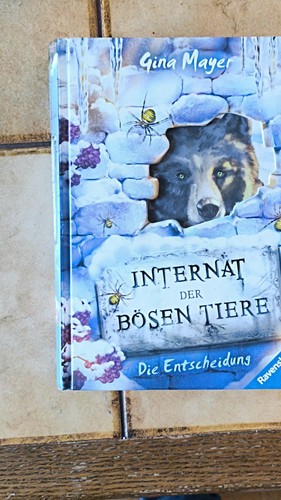 Ravensburger internat der - internat,