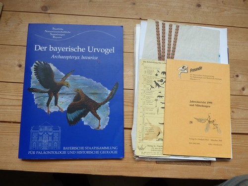 Archaeopteryx bavarica - archaeopteryx,
