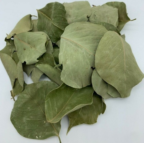 Sidr blätter 20g - 20g,