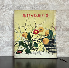 Seltene Sogetsu Home Ikebana