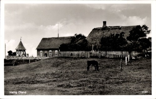 Hallig oland nordfriesland - oland,