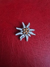  Alte Anstecknadel Souvenir
